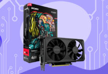 RX 550 Pcyes PVEX5504GBDF